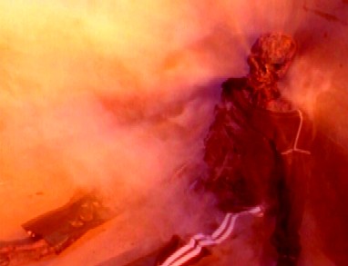 ...spontaneous combusting vampire..with a fireproof clothing!!!